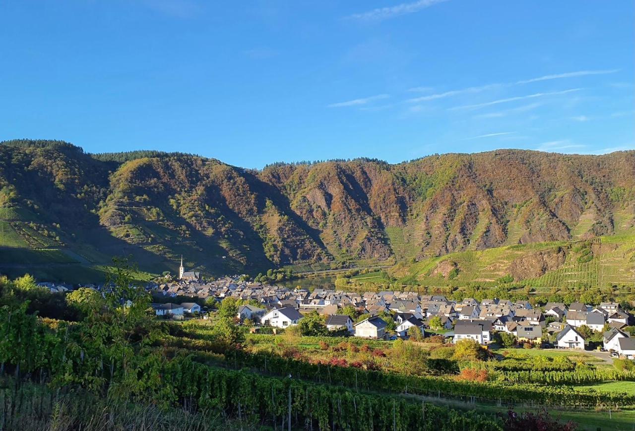 Attraktive Wohnung-Elztalidyll-Zwischen Mosel,Nuerburgring Und Burg Eltz Kollig エクステリア 写真